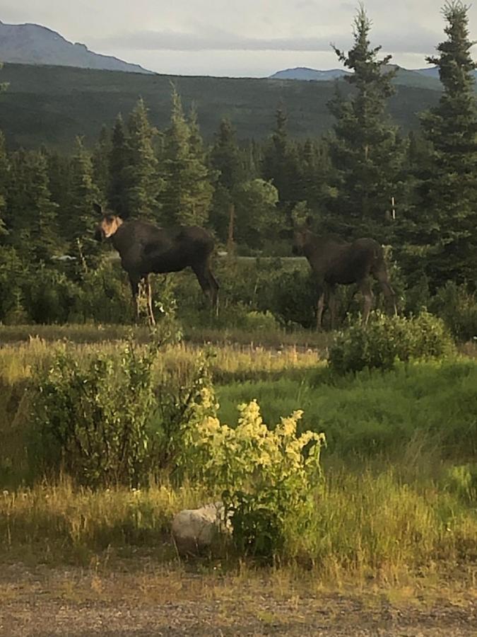 Denali Park Hotel Healy Luaran gambar